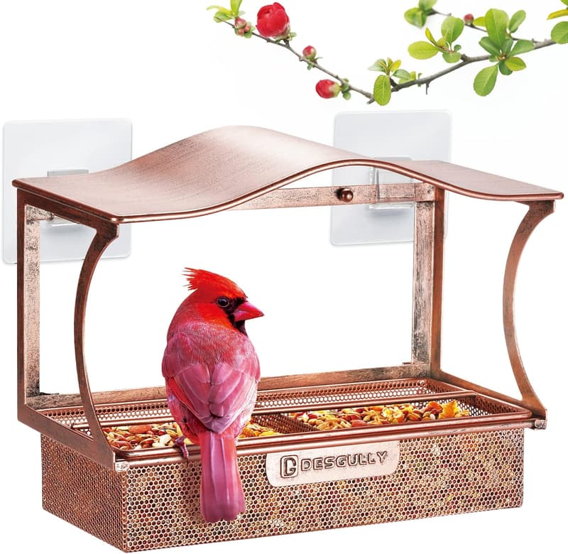 Outdoor Metal Bird Feeder with Strong Suction Cups