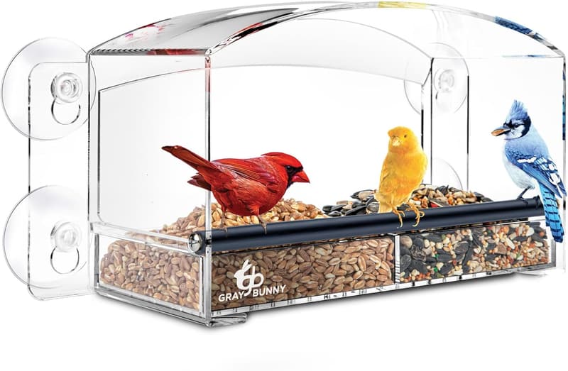 Modern Gray Bunny Window Bird Feeder with Strong Suction Cups