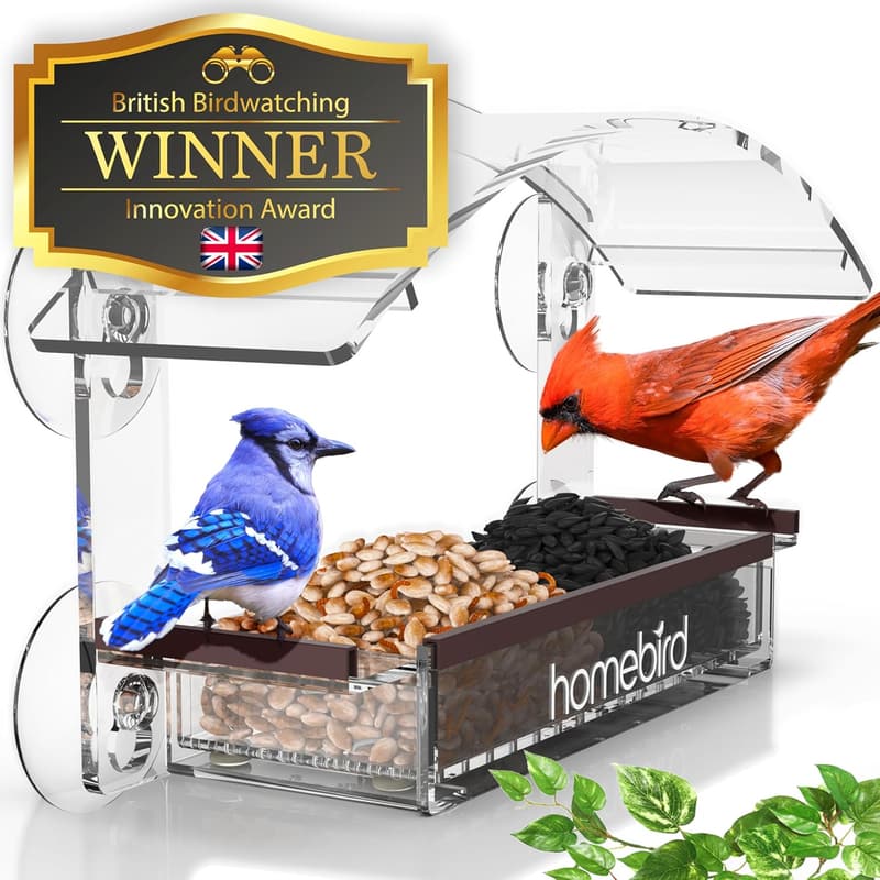 Window Bird Feeder with Strong Suction Cups - Clear Acrylic Gift