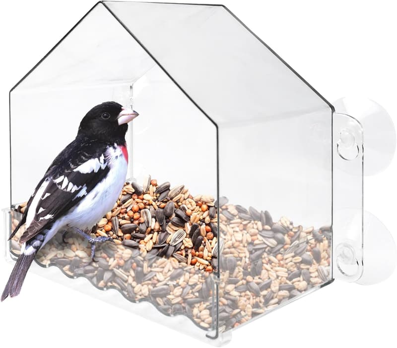 Clear View Window Bird Feeder with Suction Cups - 2 Cup Capacity