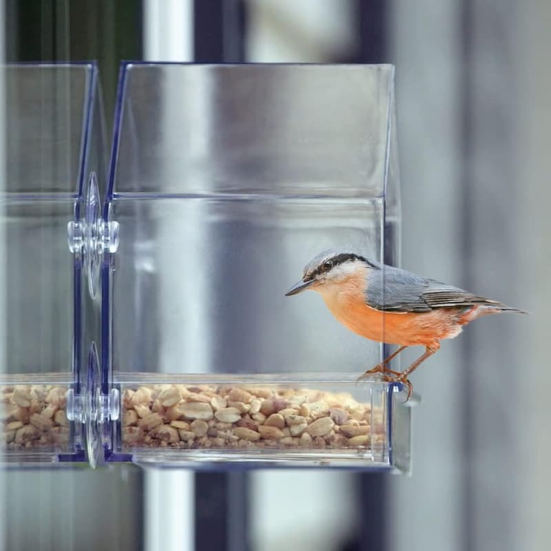 Clear View Window Bird Feeder with Suction Cups - 2 Cup Capacity