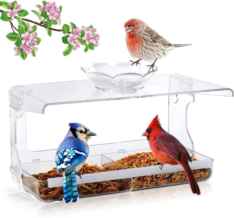 Transparent Window Bird Feeder with Non-Marking Hooks - Outdoor Decor