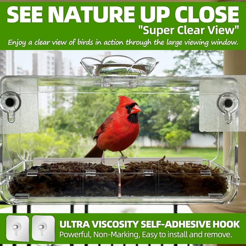 Transparent Window Bird Feeder with Non-Marking Hooks - Outdoor Decor