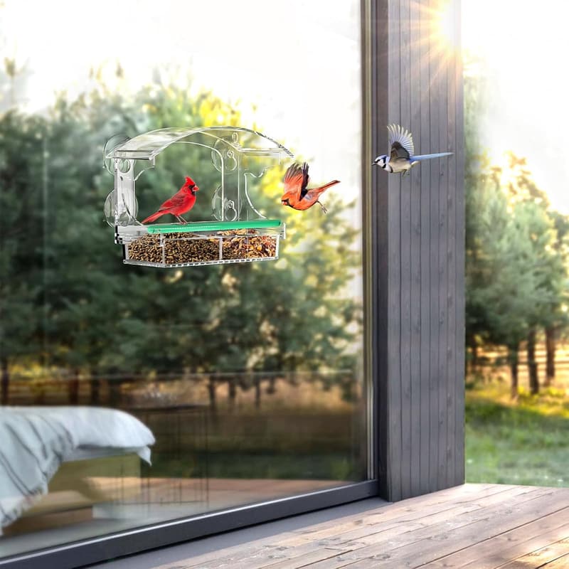 Clear Acrylic Bird Feeder with Suction Cups and Detachable Tray