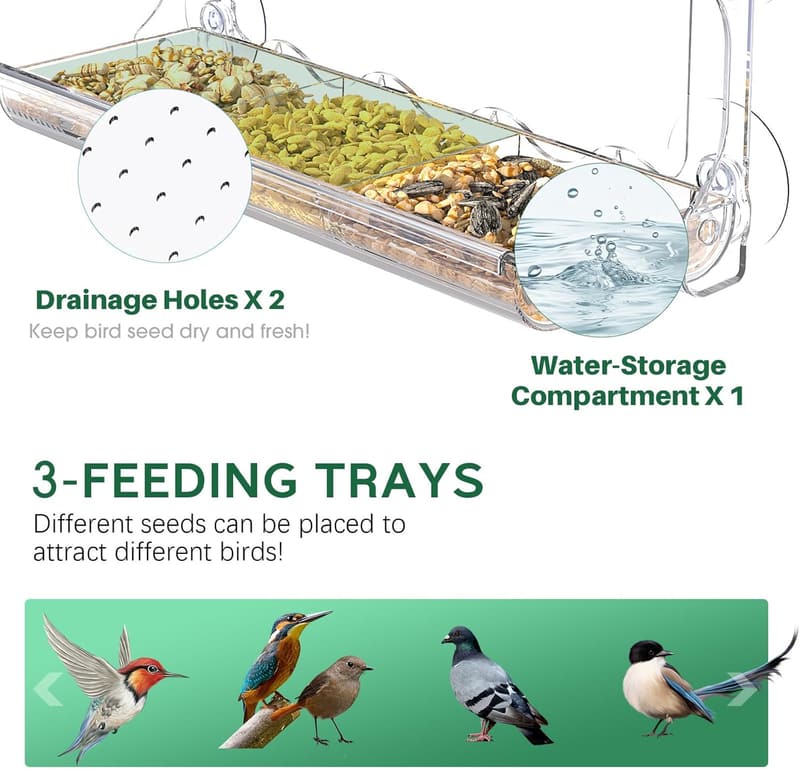 Clear Window Bird Feeder with Suction Cups for Outdoor Birdwatching