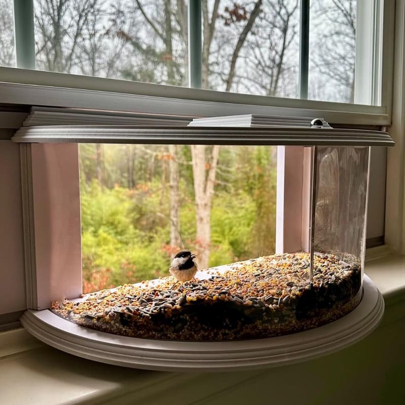 Clear View Window Bird Feeder - Fits 27-35