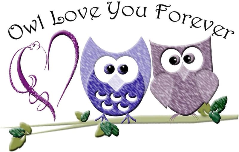 Owl Love You Forever 20 oz Stainless Steel Travel Mug
