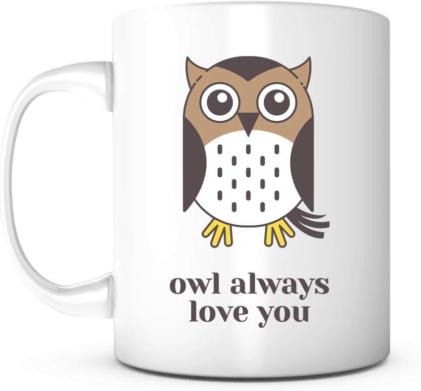 Valentine's Day Owl Love Mug for Couples