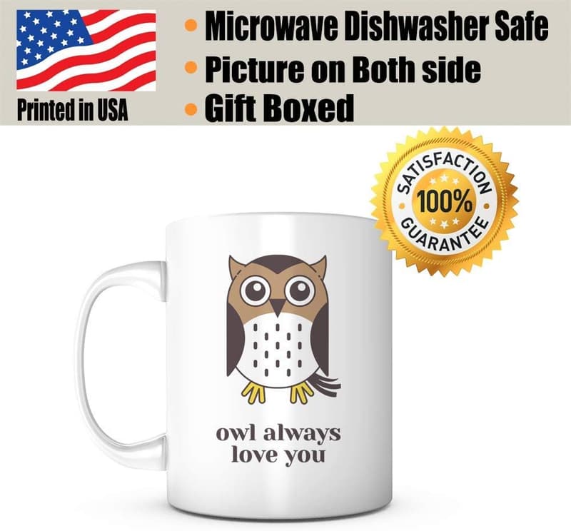 Valentine's Day Owl Love Mug for Couples