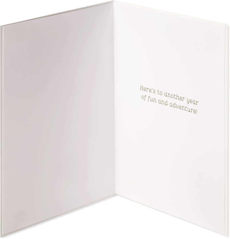 Anniversary Card by House of Turnowsky - Another Year of Fun