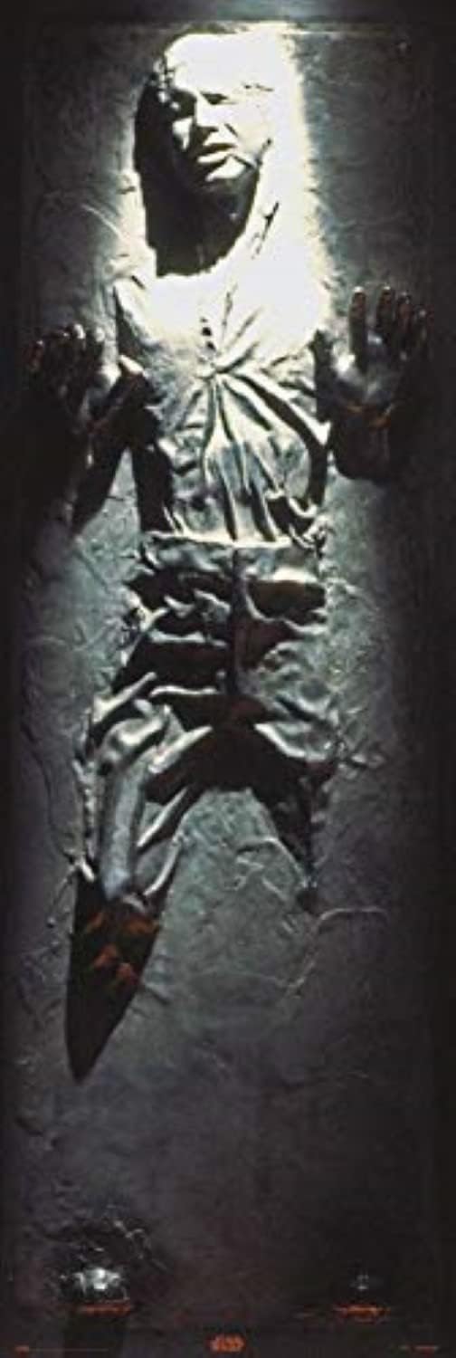 Star Wars Han Solo Carbonite Poster, 53 x 158 cm