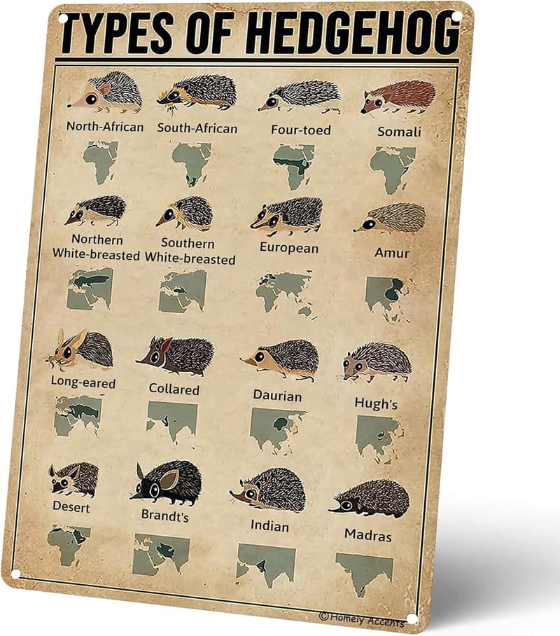 Vintage Farmhouse Hedgehog Metal Sign for Kids' Rooms