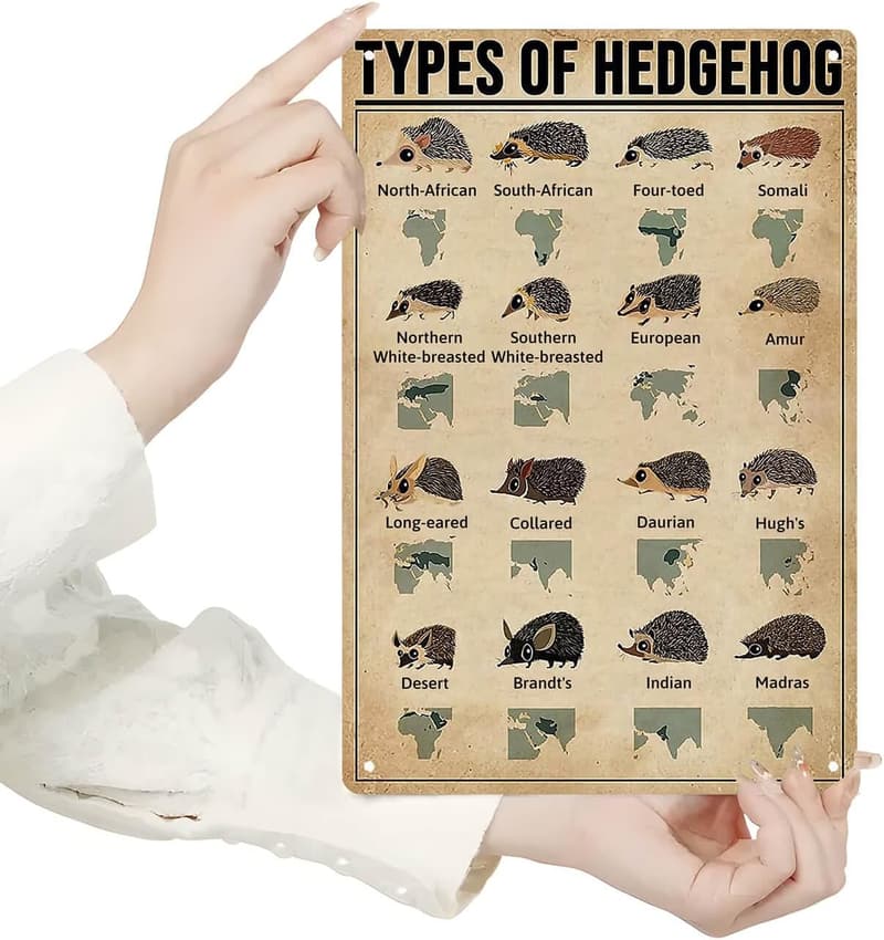 Vintage Farmhouse Hedgehog Metal Sign for Kids' Rooms
