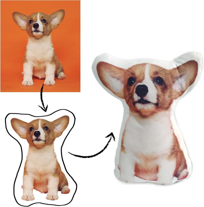 Personalized Pet Photo Pillow, 12