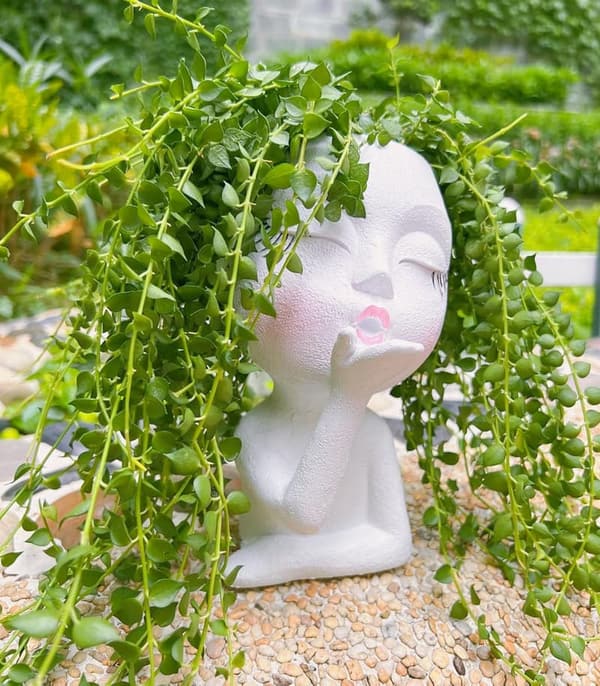 Cute Face Succulent Planter Pot - White Resin 1 Pack