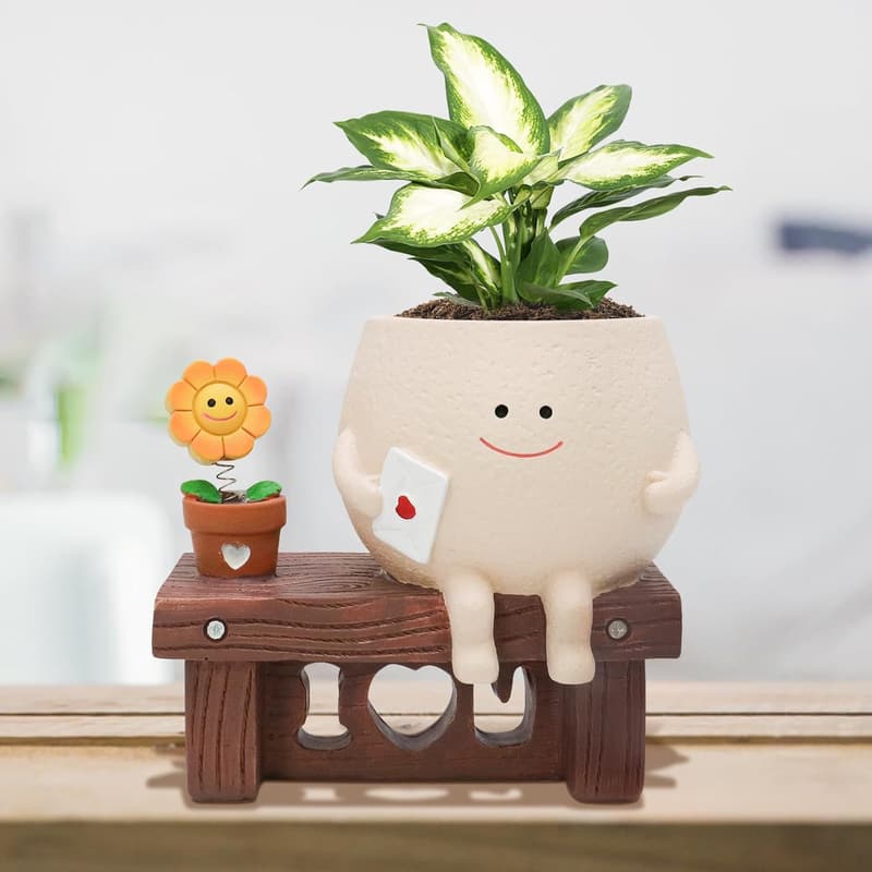 Smiley Face Resin Flower Pot for Indoor Succulents