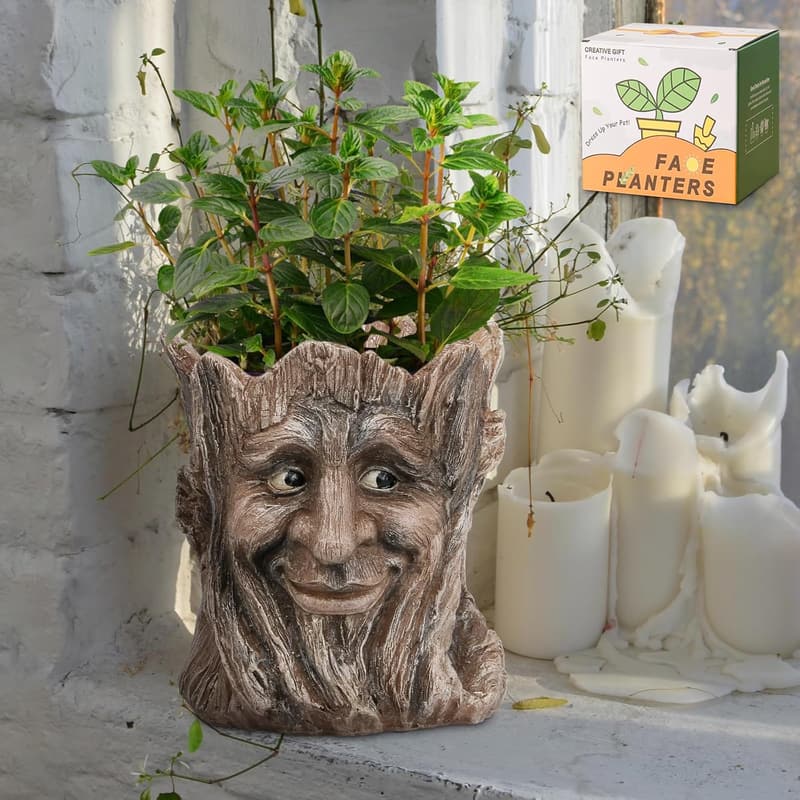 Creative Face Planter Pot - Unique Succulent Holder for Indoor/Outdoor