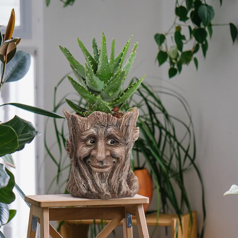 Creative Face Planter Pot - Unique Succulent Holder for Indoor/Outdoor