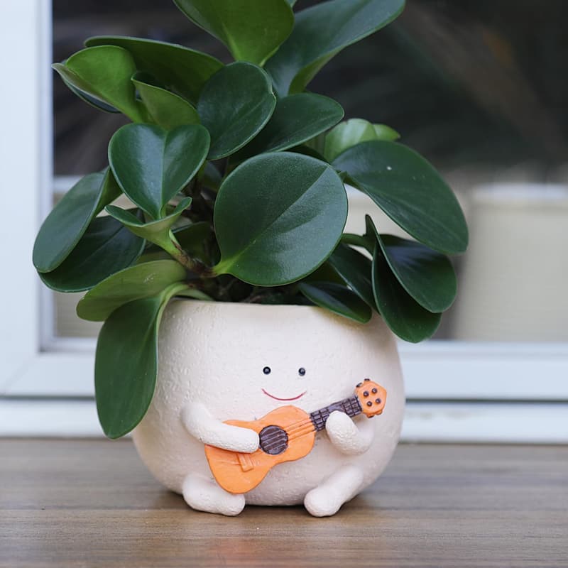 Smiley Face Resin Planter Pot for Indoor Plants - Perfect Gift for Mom