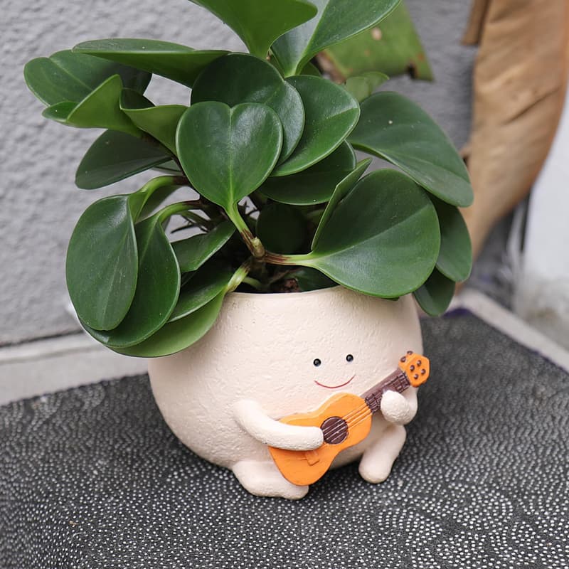 Smiley Face Resin Planter Pot for Indoor Plants - Perfect Gift for Mom