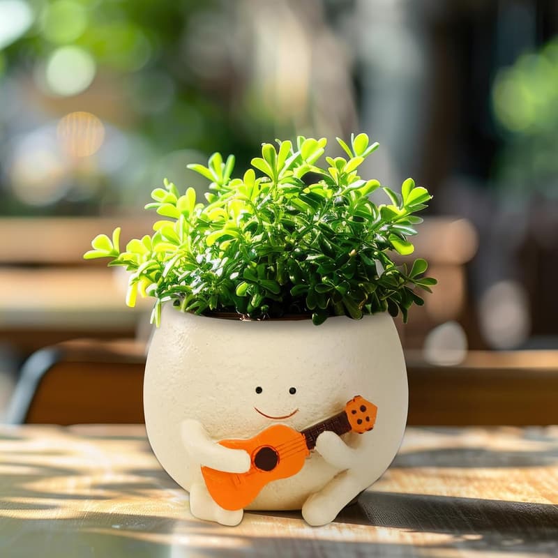 Cute Smiley Face Planter Pot with Drainage for Indoor Outdoor Use