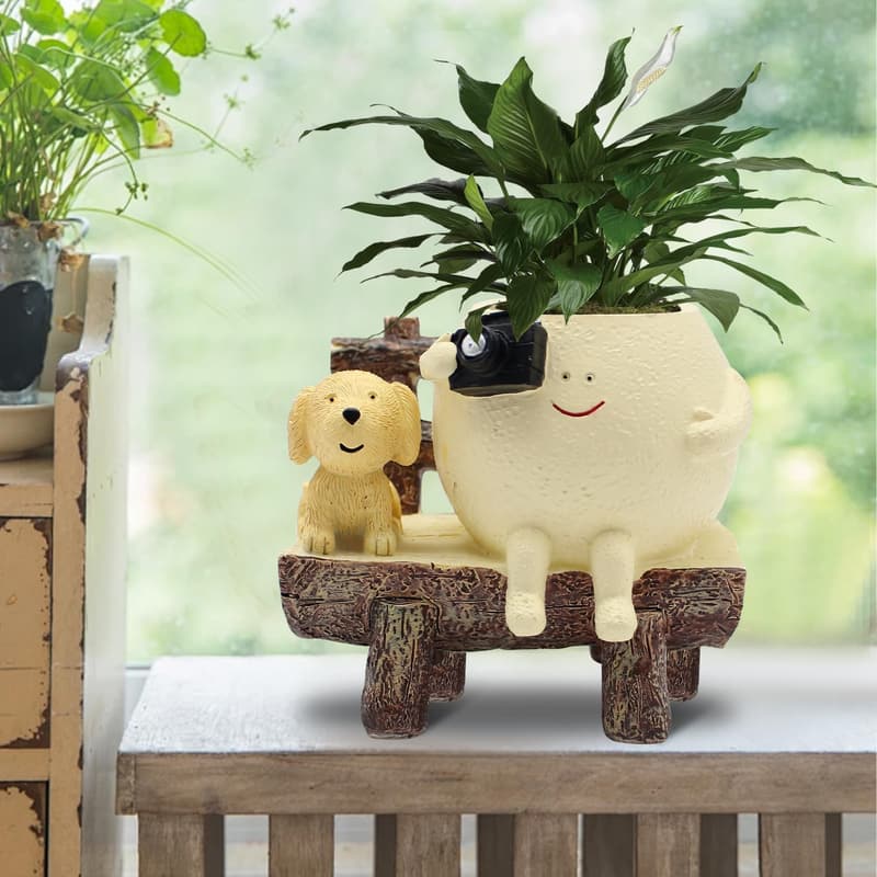 Smiley Face Resin Succulent Planter for Indoor & Outdoor Use