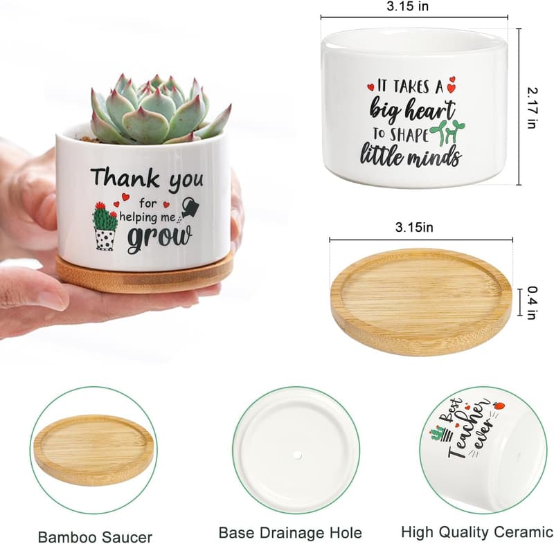 Teacher Appreciation Succulent Plant Pot Gift (Bulk)