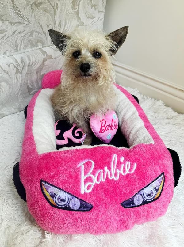 Barbie-Themed Plush Car Pet Bed for Dogs and Cats