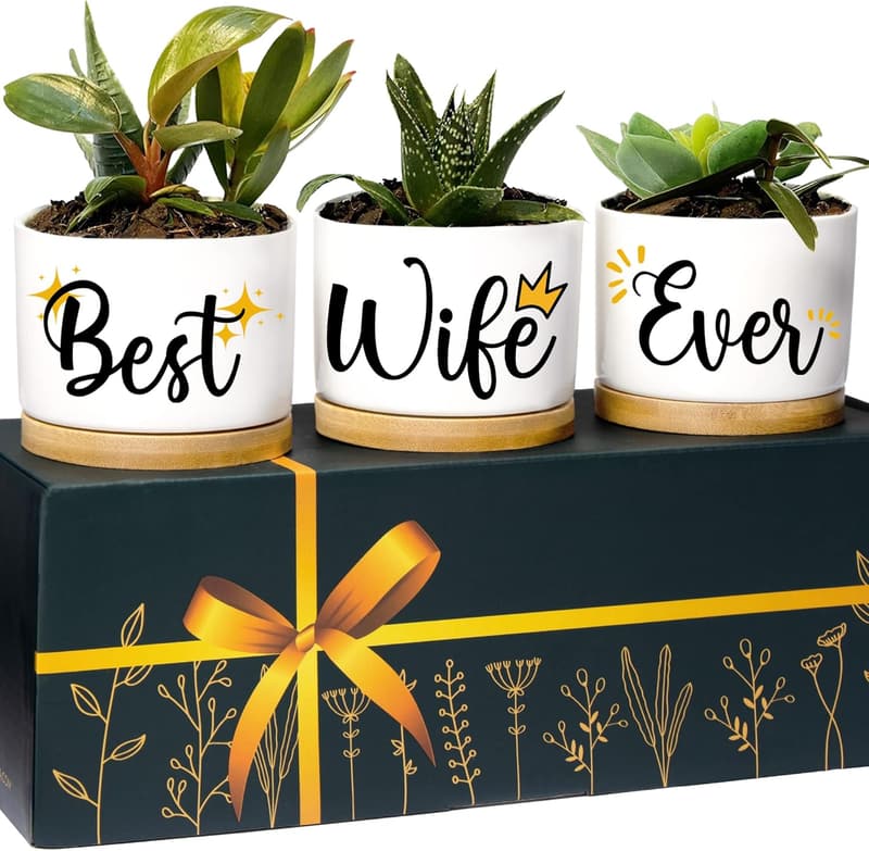 Unique Planters for Wife's Birthday from Husband