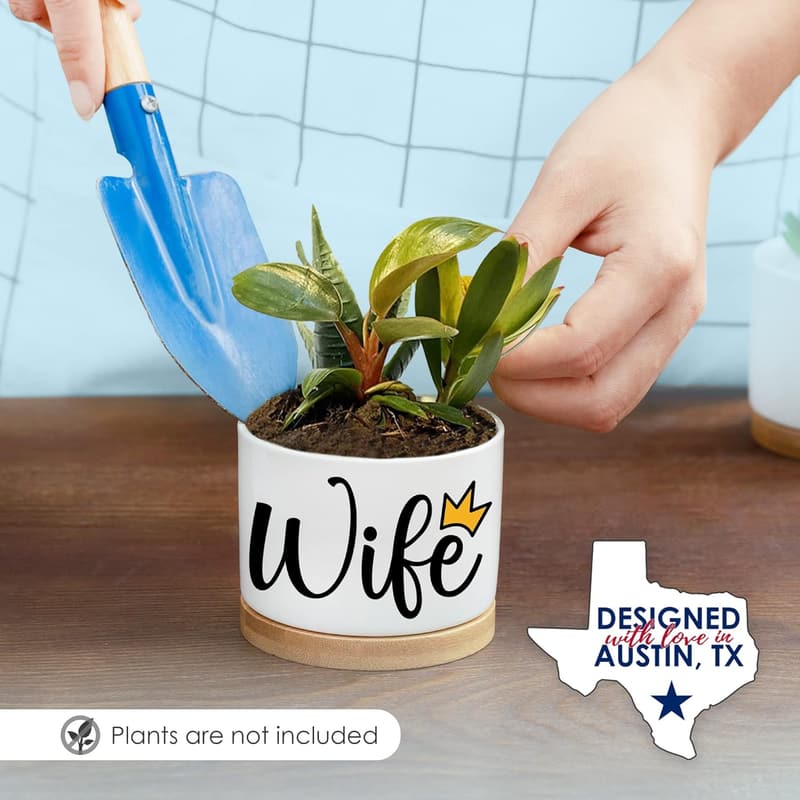 Unique Planters for Wife's Birthday from Husband