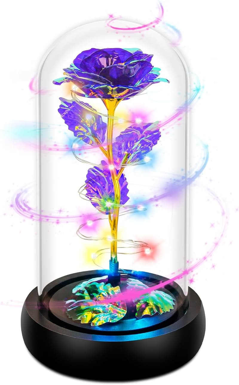 Valentine's Day Light-Up Rose in Glass Dome for Women