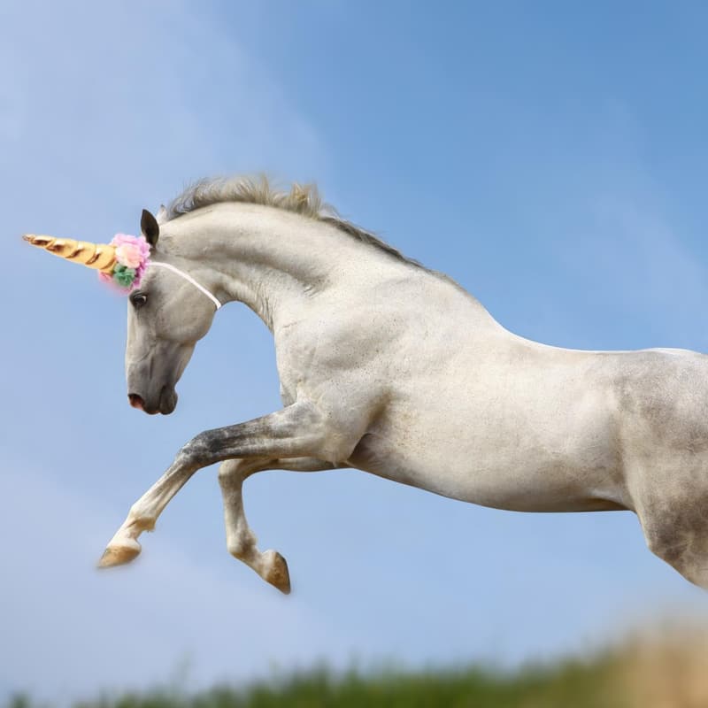 Unicorn Horn Headband with Pony Mane Tinsel for Halloween Decor