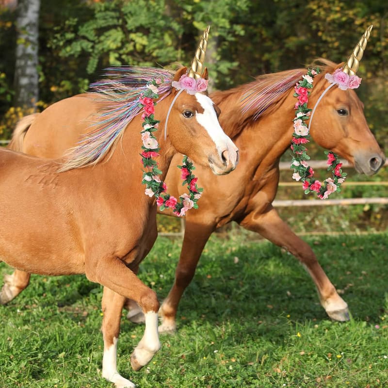 Horse Birthday Party Bling Accessories - 12 Pcs Floral Horn & Mane Clips