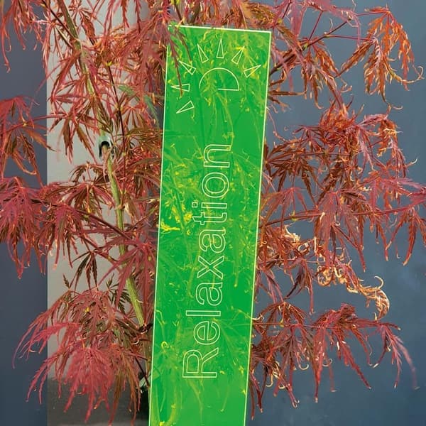 Relaxation Inspirational Sign - 20'' Green Decor