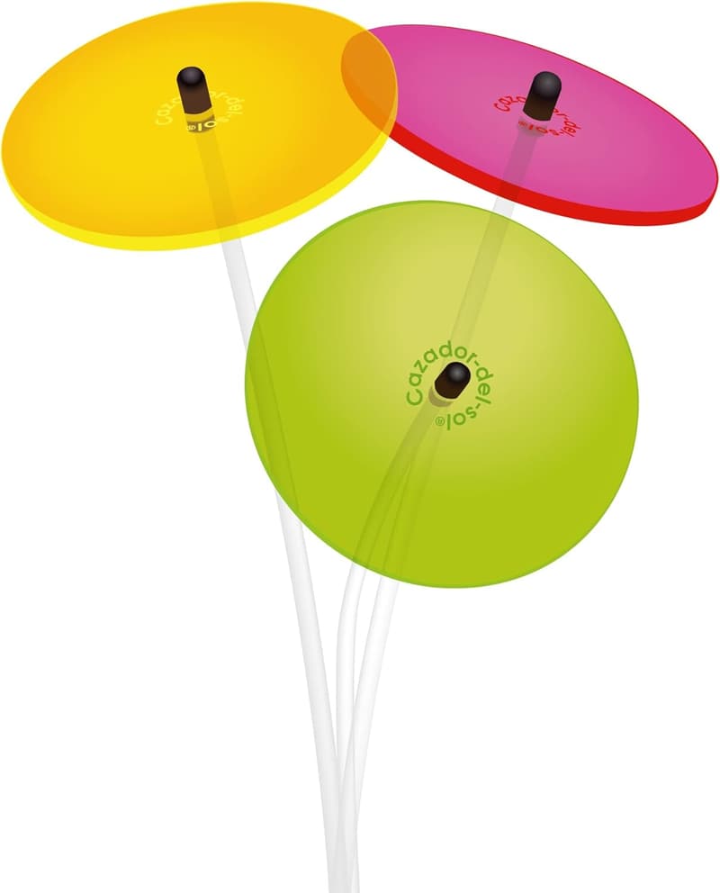 Graduation Sun Bouquet Set of 3 Mini Cazadores, 25 cm Tall