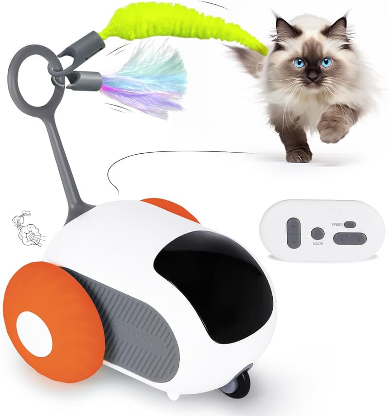 Interactive USB Rechargeable Cat Toy with Remote Control