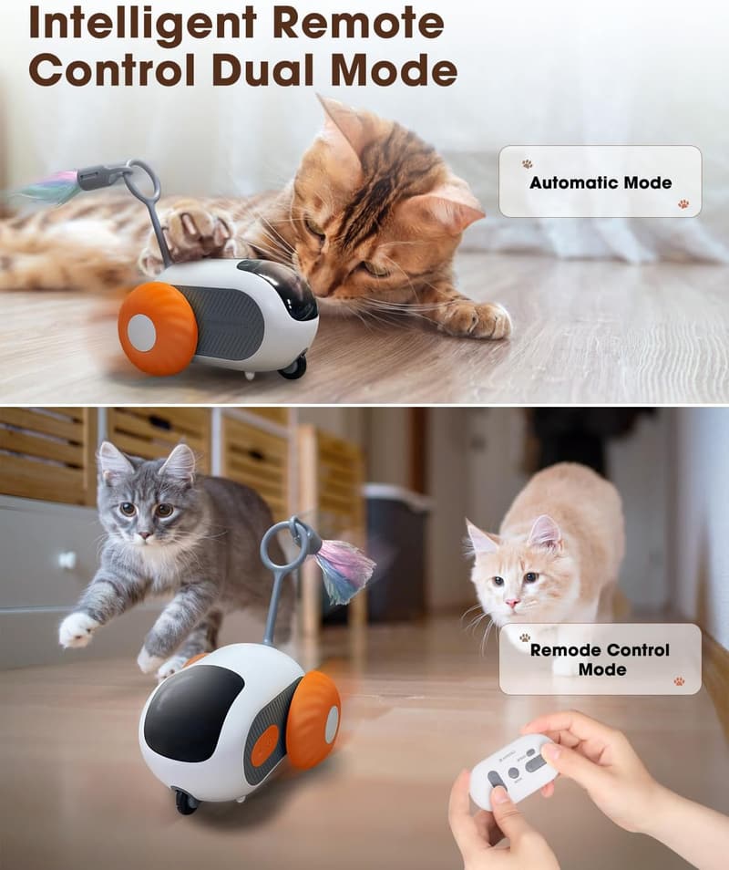 Interactive USB Rechargeable Cat Toy with Remote Control