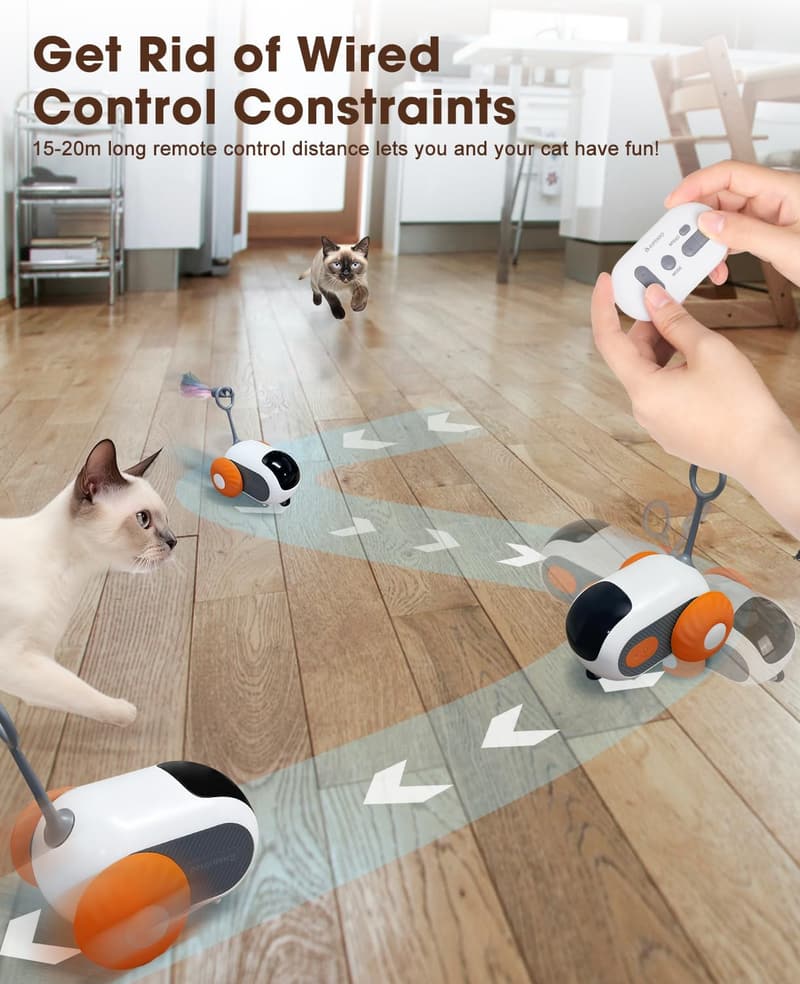 Interactive USB Rechargeable Cat Toy with Remote Control