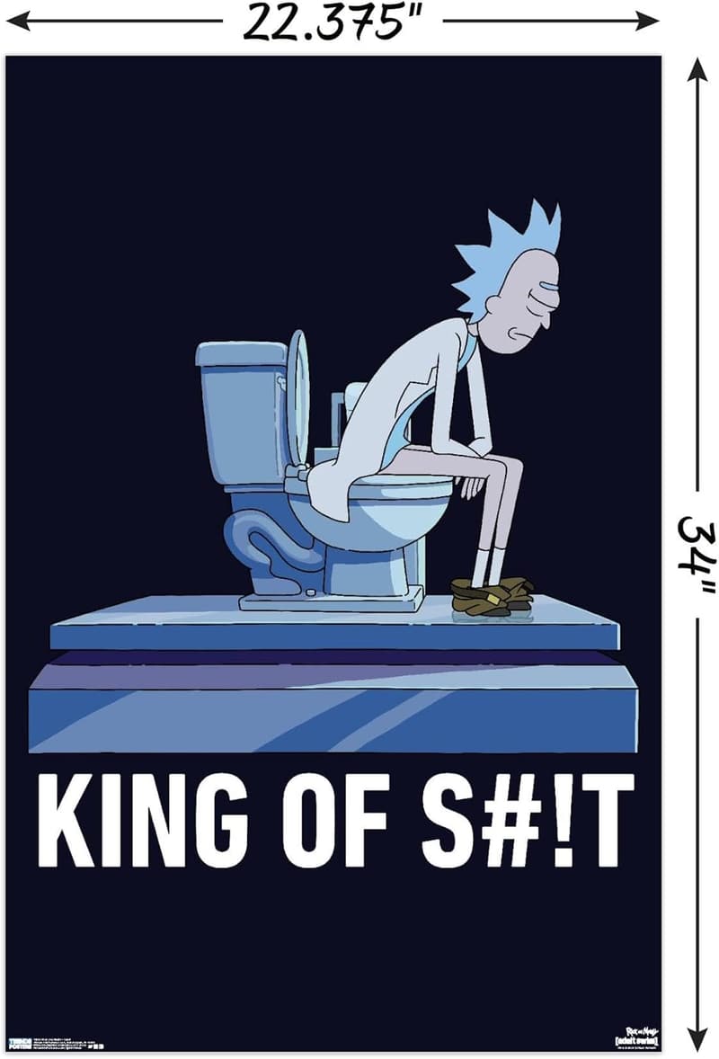 Rick and Morty Toilet Wall Poster - Unframed 22.375