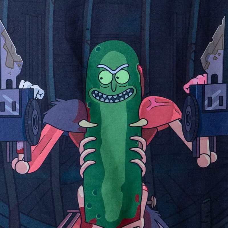 Rick and Morty Pickle Rick Door Banner - 25