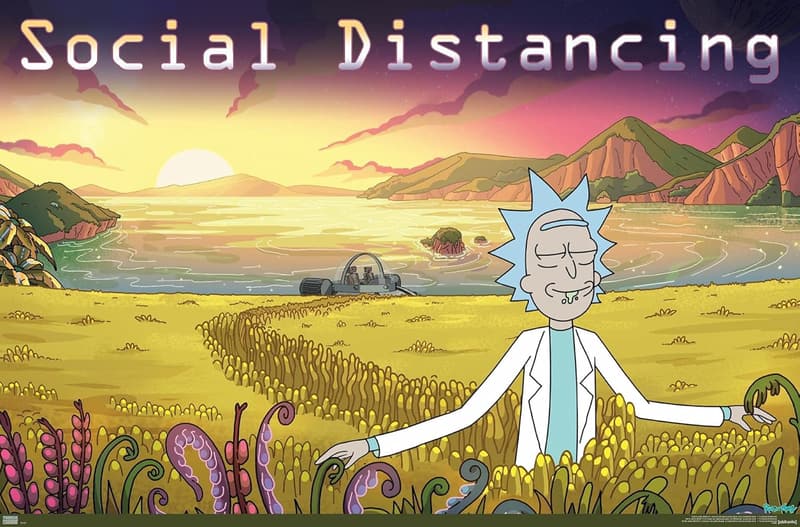 Rick and Morty Social Distancing Wall Poster, 22.375