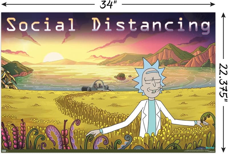 Rick and Morty Social Distancing Wall Poster, 22.375
