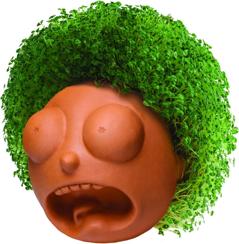 Rick & Morty Morty Chia Pet Planter with Seed Pack