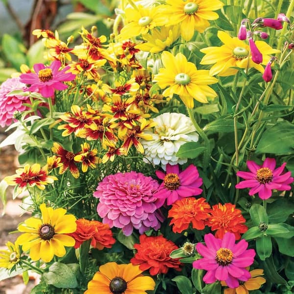 Butterfly-Attracting Seeded Mats - Set of 2