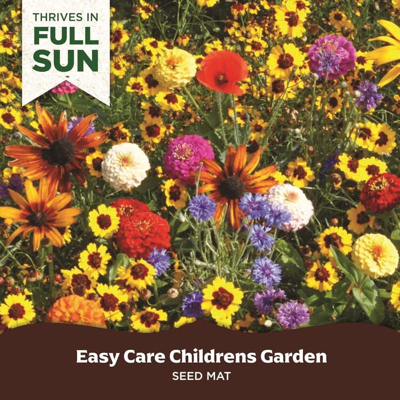 Children's Easy Grow Seed Mat - Vibrant Flower Garden