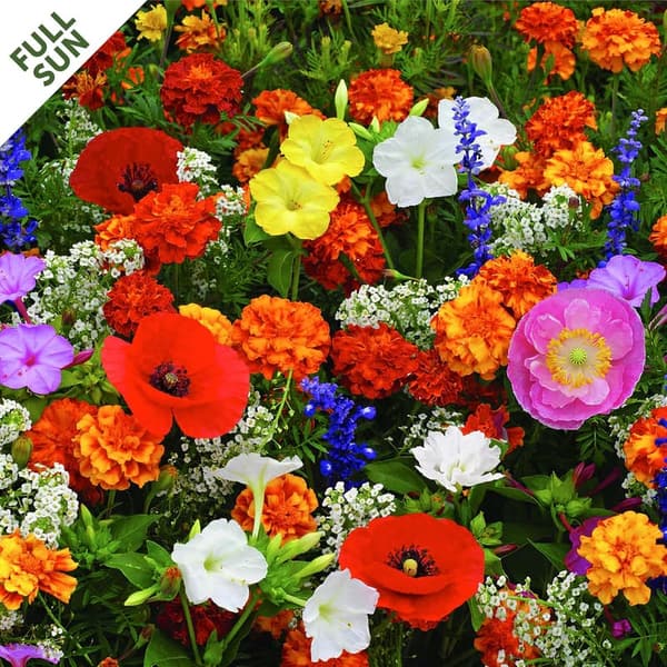 DeerGuard Flower Seed Mat for Vibrant Garden Growth