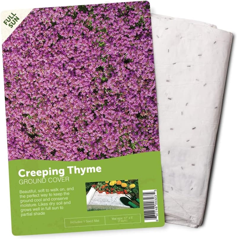 Customizable Seed Mat for Vibrant Flower Gardens