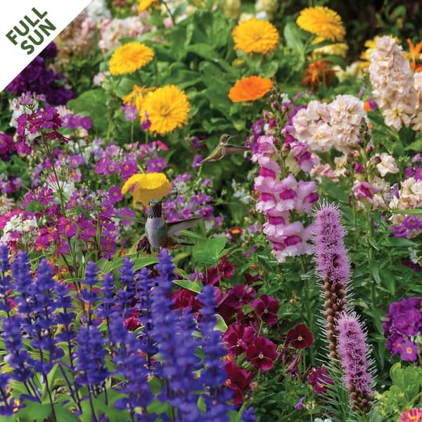 Hummingbird Haven Flower Garden Seed Mat - Easy Planting