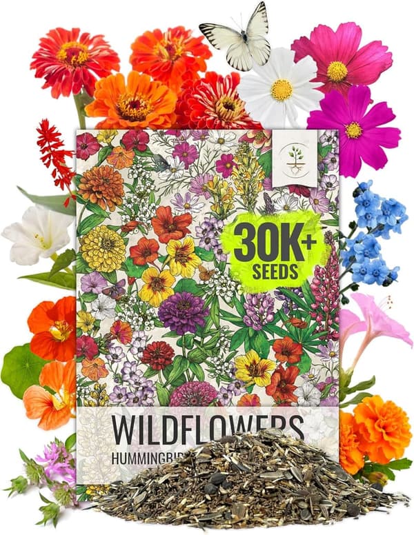 Butterfly & Hummingbird Wildflower Seed Mix – 23 Varieties, 2 oz