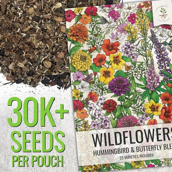 Butterfly & Hummingbird Wildflower Seed Mix – 23 Varieties, 2 oz